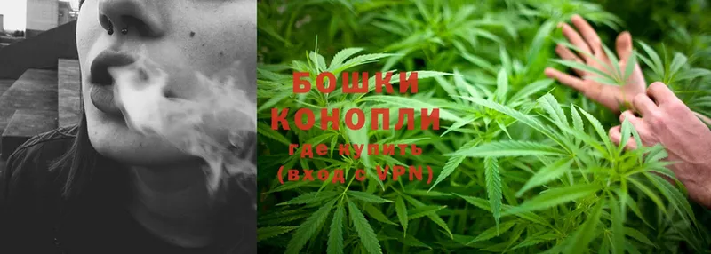 МАРИХУАНА SATIVA & INDICA  Котово 